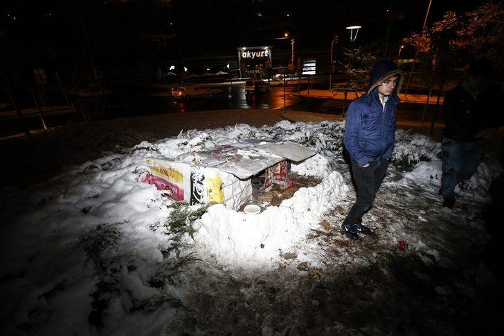  Köpek yavrularını donmaktan son anda kurtardılar G5