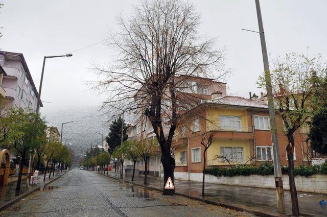 Akşehir Belediyesi ağaçlara zarar vermeden çalışmalarını sürdürüyor