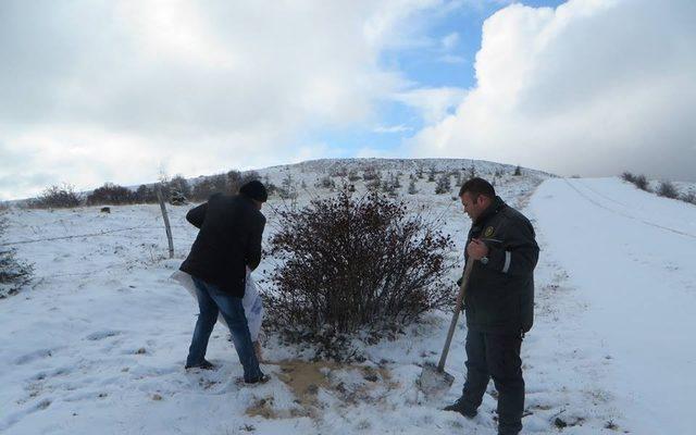 Hayvanlar aç kalmasın diye doğaya yiyecek bıraktılar