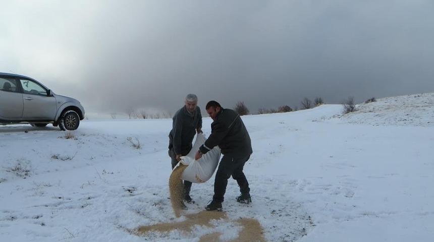 Hayvanlar a&ccedil; kalmasın diye doğaya yiyecek bıraktılar