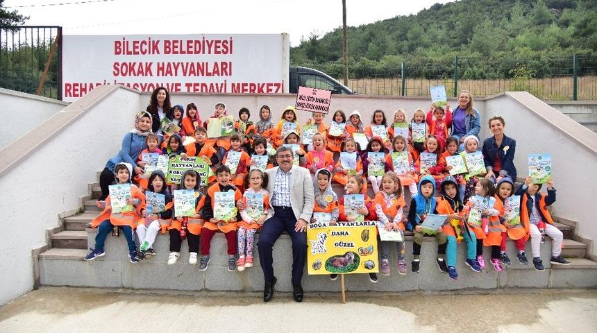 Bilecik Belediyesi sokak hayvanlarını unutmadı