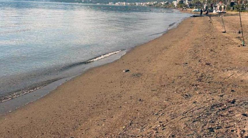 Marmaris'te korkutan görüntü! Açıklama geldi