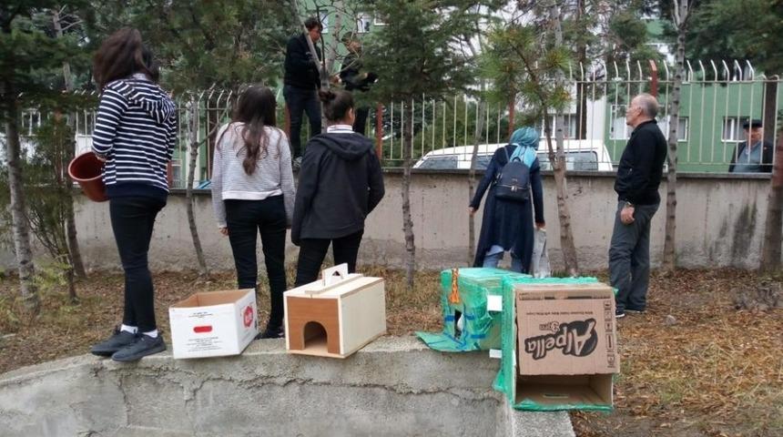 Lise &ouml;ğrencileri can dostları i&ccedil;in seferber oldu