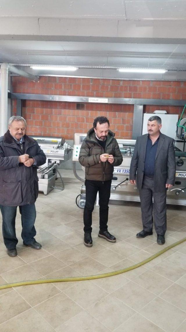 Burhaniye’de organik zeytinyağı fabrikası ilgi gördü