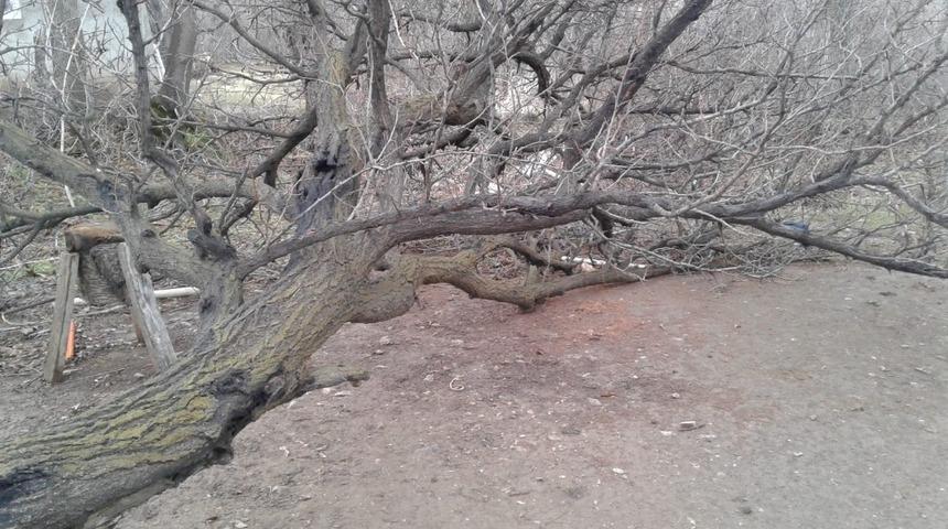 Fırtına &ccedil;atıları u&ccedil;urdu