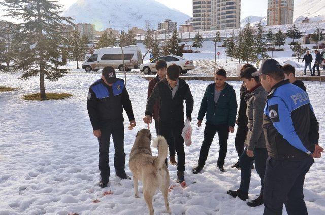 Polis ve öğrenciler, sokak hayvanları için doğaya yem bıraktı