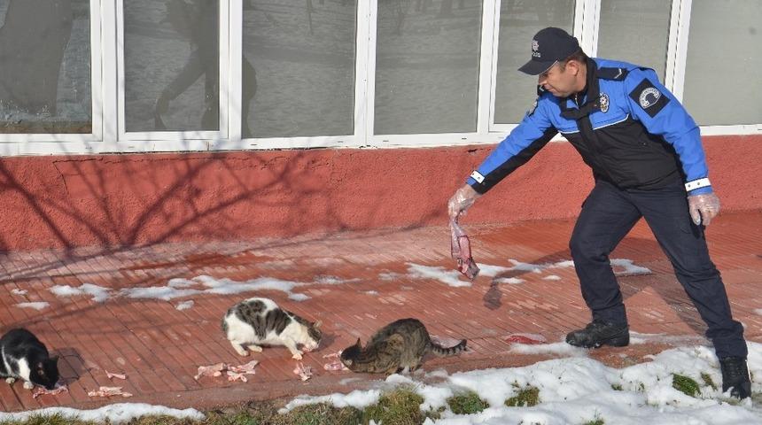 Polis ve öğrenciler, sokak hayvanları için doğaya yem bıraktı