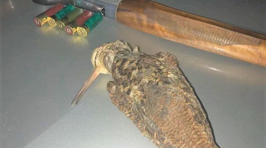 Ka&ccedil;ak avlanan avcıya ceza yağdı