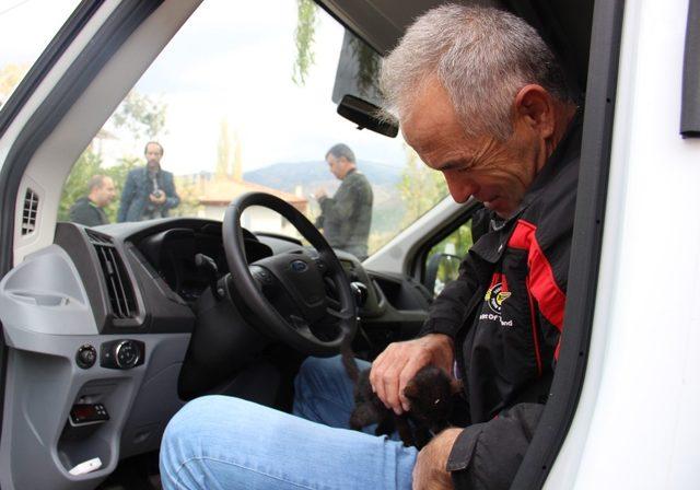 Cenaze aracına sığınan yavru kedi, donmaktan kurtarıldı