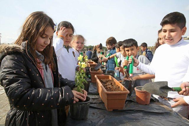 Buca’da 10 bin çocuk doğayla kucaklaşıyor