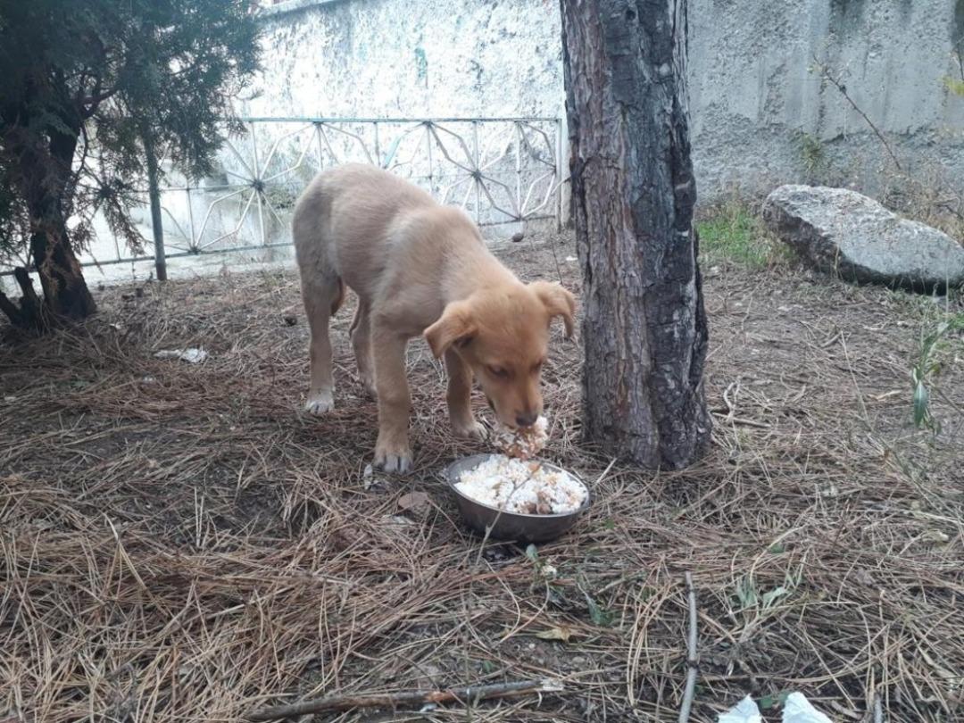 Can dostları unutmadılar