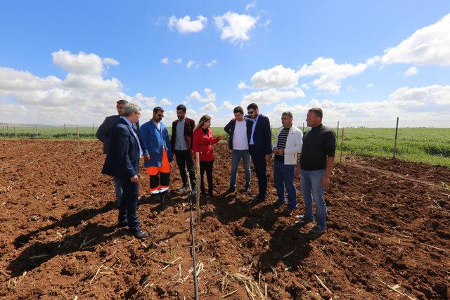 Belediyeden Mardinli ailelere tarım ve hayvancılık desteği