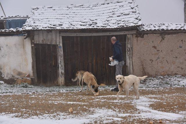 Bozüyük Belediyesi kırsaldaki sahipsiz sokak hayvanlarını unutmadı