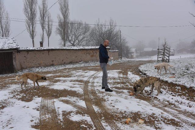 Bozüyük Belediyesi kırsaldaki sahipsiz sokak hayvanlarını unutmadı