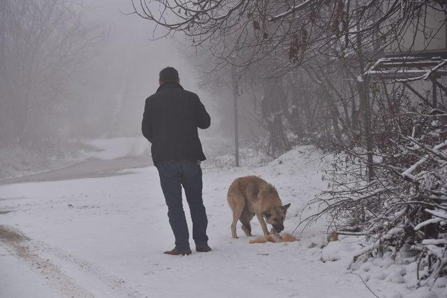Bozüyük Belediyesi kırsaldaki sahipsiz sokak hayvanlarını unutmadı