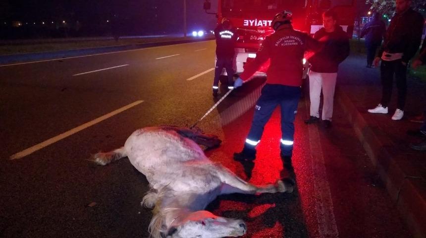 Otomobilin &ccedil;arptığı at telef oldu