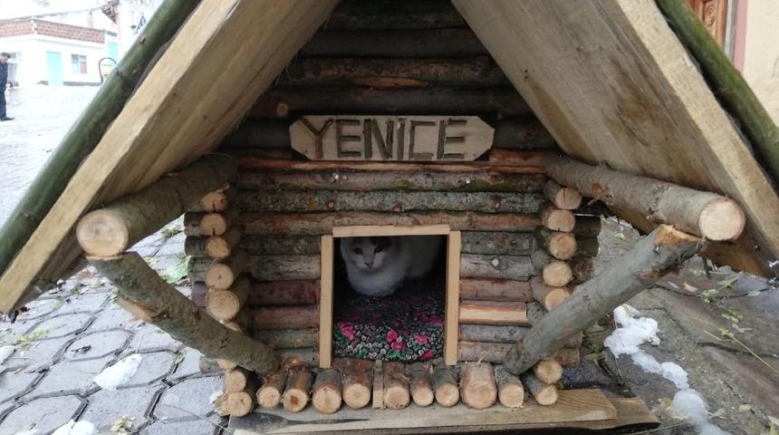 K&ouml;ydeki evsiz kediler i&ccedil;in kendi imkanlarıyla kul&uuml;be yaptı