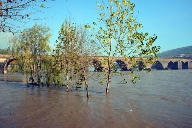 Dicle Nehri'nde su seviyesi azaldı, tehlike sürüyor