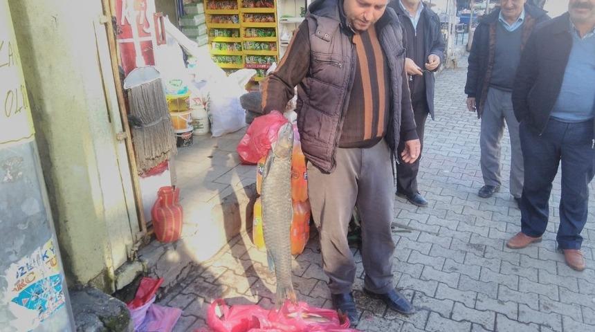 Atanamayan fahri imam yakaladığı balıkları satarak ge&ccedil;iniyor