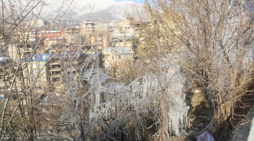 Hakkari&rsquo;de ağa&ccedil;ları buz tuttu