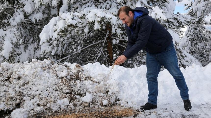 Hem yolları a&ccedil;ıyorlar hem de yaban hayatını yemliyorlar
