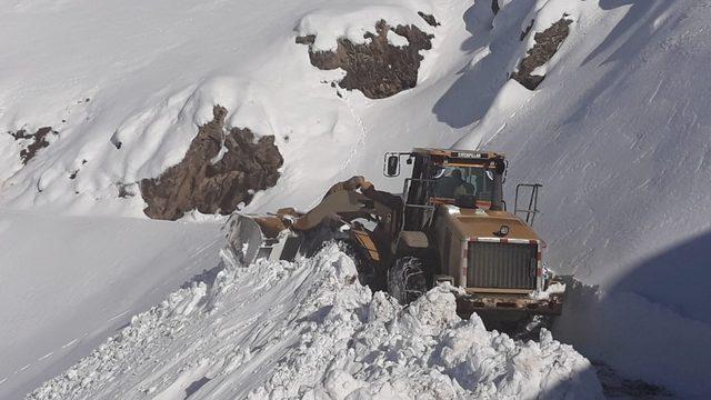 Karda mahsur kalan atlar i&ccedil;in seferberlik 2