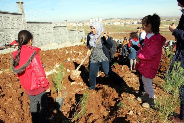 Midyat’ta yüksekokul yerleşkesine 3 bin 500 fidan dikildi