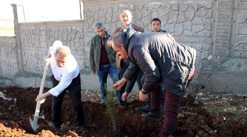 Midyat&rsquo;ta y&uuml;ksekokul yerleşkesine 3 bin 500 fidan dikildi