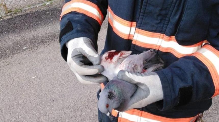 Tellere takılan g&uuml;vecini itfaiye kurtardı