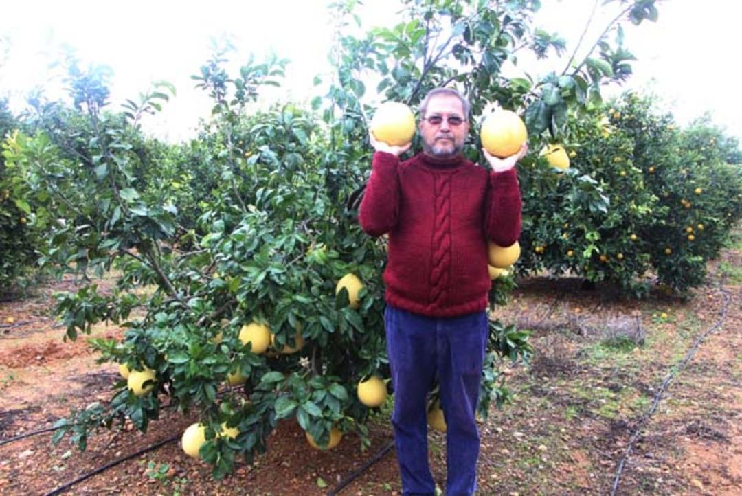 Ağacın dalında g&ouml;ren şok oluyor