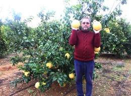 Ağacın dalında gören şok oluyor