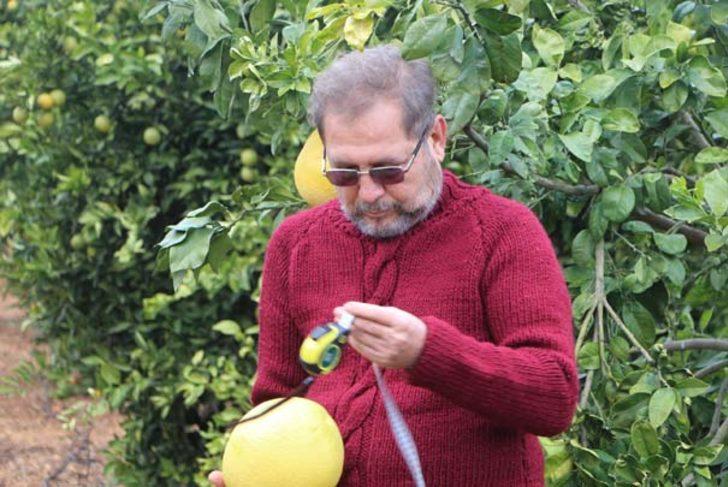 Ağacın dalında gören şok oluyor G5