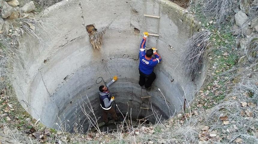 Kuyuya d&uuml;şen k&ouml;peği AFAD ekipleri kurtardı