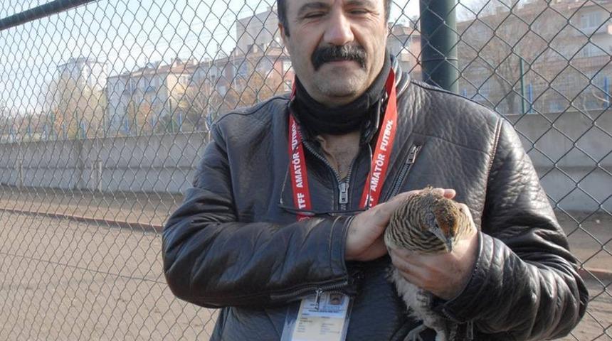 Davetsiz misafir sahaya kondu