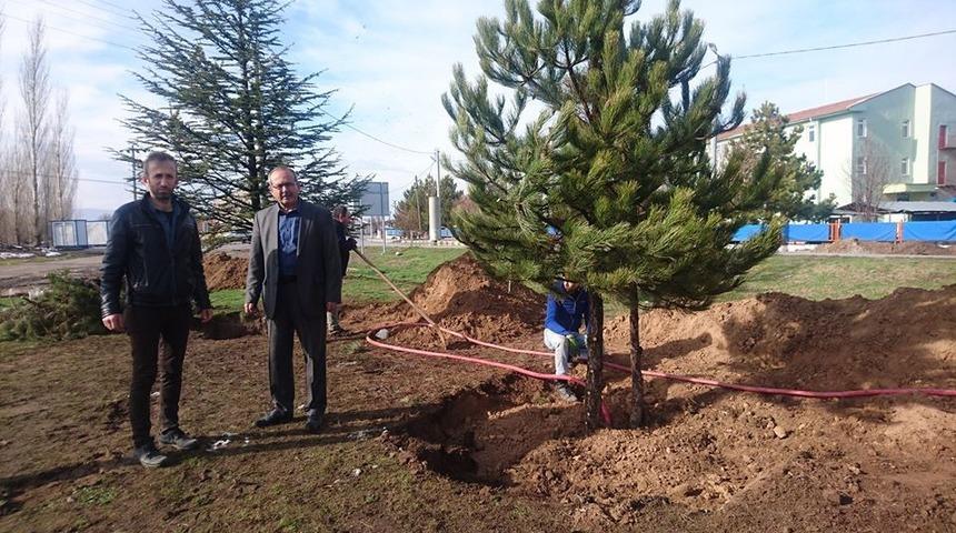 Aslanapa&rsquo;da Mesire alanı yapımı &ccedil;alışmaları