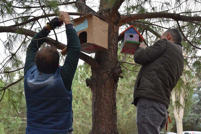 Öğrenciler, okul bahçesine kuş mahallesi kurdu