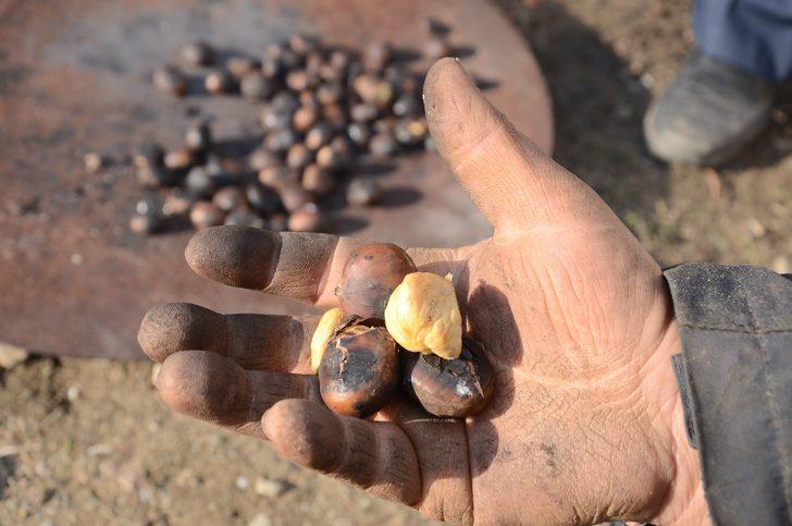 Bu kestanenin kilosu 20 TL! G4