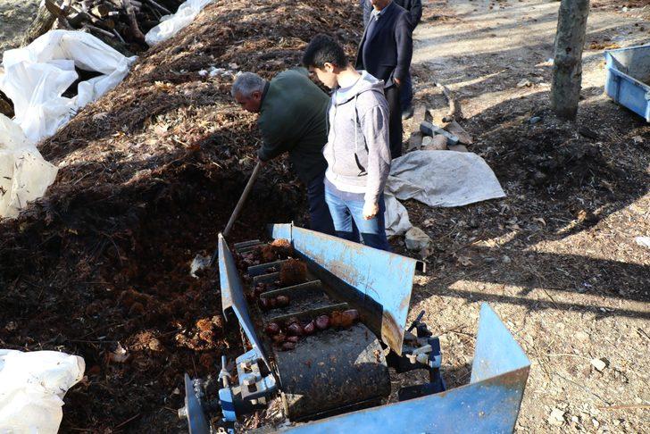 Bu kestanenin kilosu 20 TL! G5