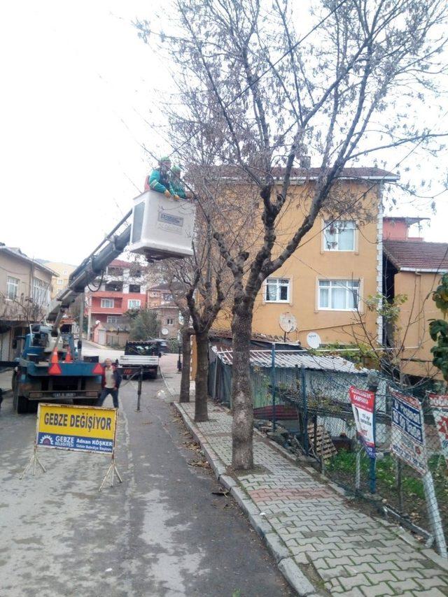 Parkların bakım ve onarım çalışmaları sürüyor