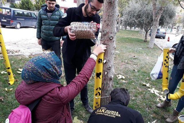 Sokak Hayvanları için alternatif mama kapları hazırlandı