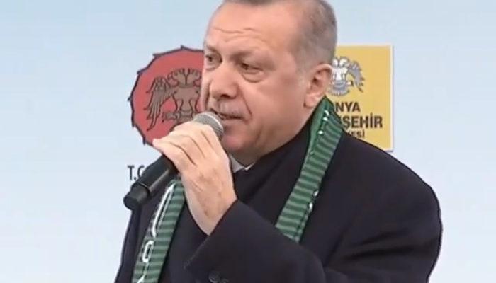 Erdoğan'dan Fatih Portakal'a bir tepki daha: Portakal mıdır, mandalina mıdır
