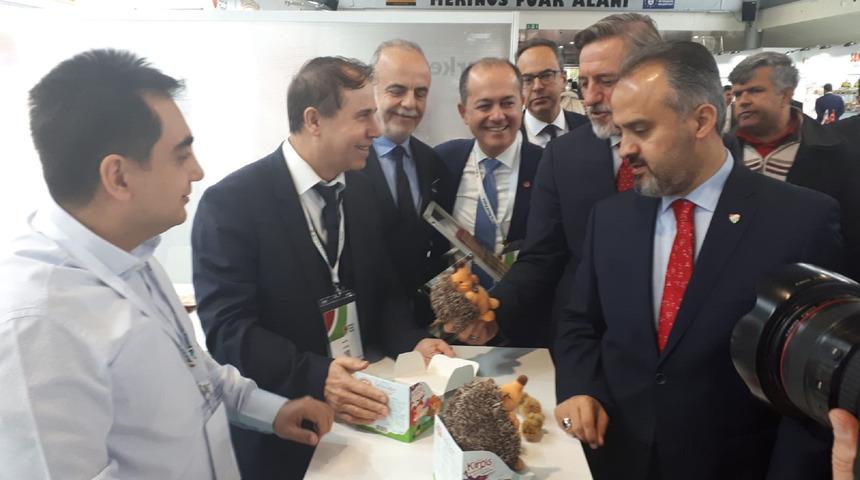 'Kirpiş' kestaneler çocuklar için raflarda