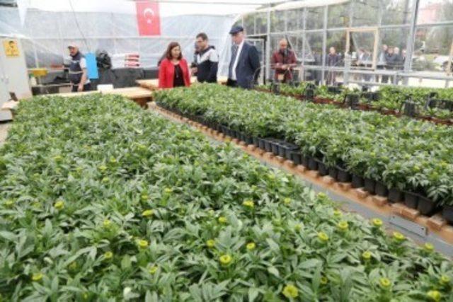 Odunpazarı Belediyesi’nin tasarruf çalışmaları 3