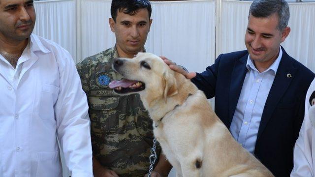 Yeşilyurt Belediyesi doğanın sevimli canlılarına sahip çıkıyor