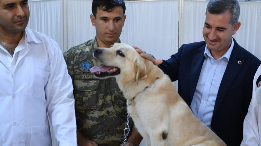 Yeşilyurt Belediyesi doğanın sevimli canlılarına sahip &ccedil;ıkıyor