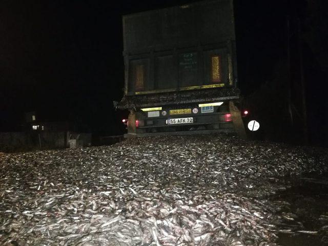 İznik-Adapazarı yolu balık deryasına d&ouml;nd&uuml; 1