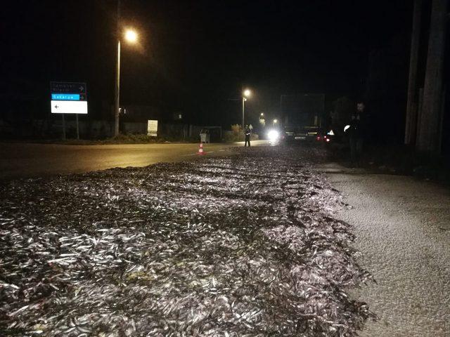 İznik-Adapazarı yolu balık deryasına d&ouml;nd&uuml; 3