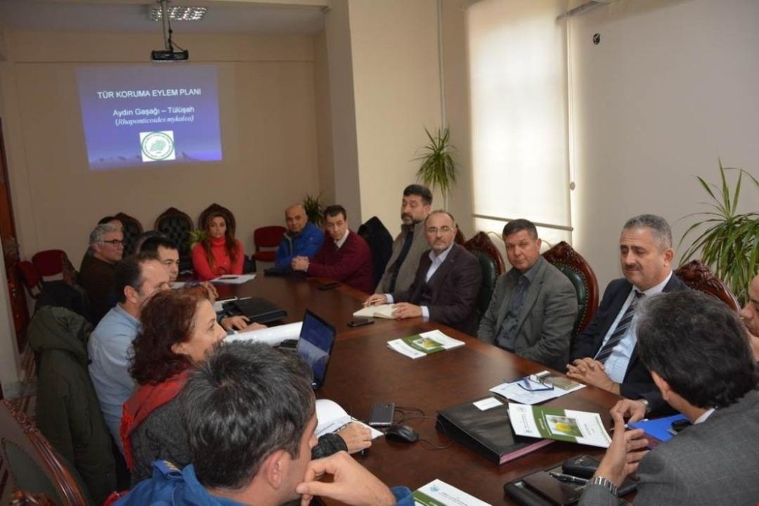 Kuşadası&rsquo;nda T&uuml;ll&uuml;şah i&ccedil;in yeni eylem planı