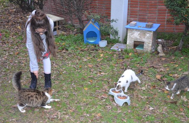 Avcılar'da öğrencilerden okul bahçesine 7 kedi evi