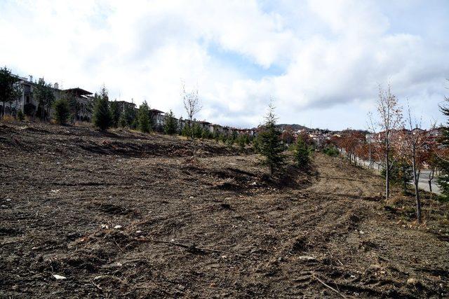 Dereliler Gürsoy Parkı yapımına başlanıldı